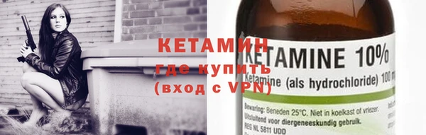 a pvp Новозыбков