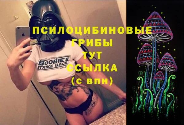 a pvp Новозыбков