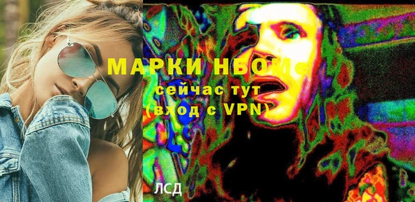 a pvp Новозыбков