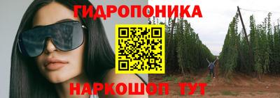 молекула духа Малоярославец