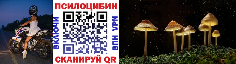 купить закладку Приморско-Ахтарск Галлюциногенные грибы мухоморы