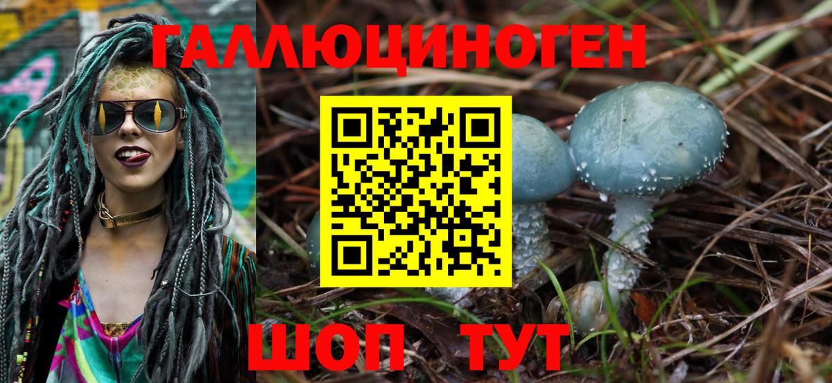 Галлюциногенные грибы Psilocybe Приморско-Ахтарск