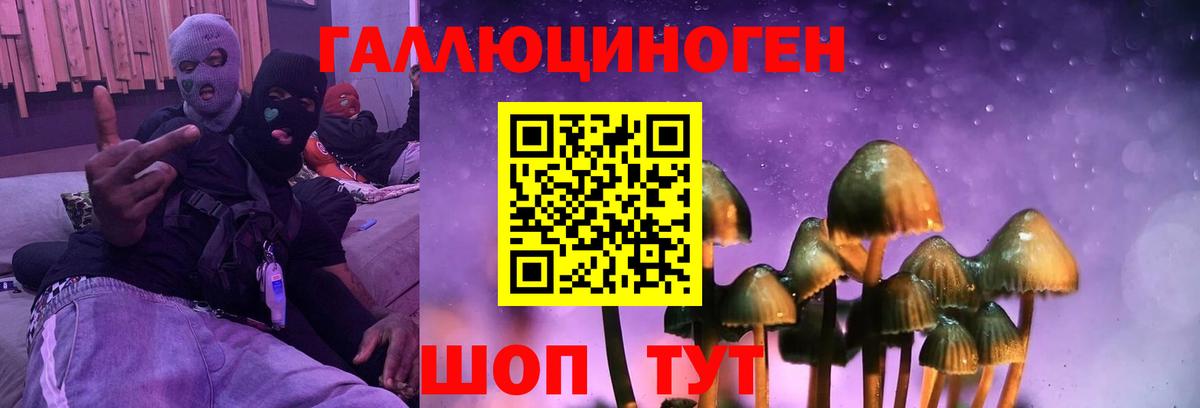 Приморско-Ахтарск  Галлюциногенные грибы мицелий  Вход с VPN 